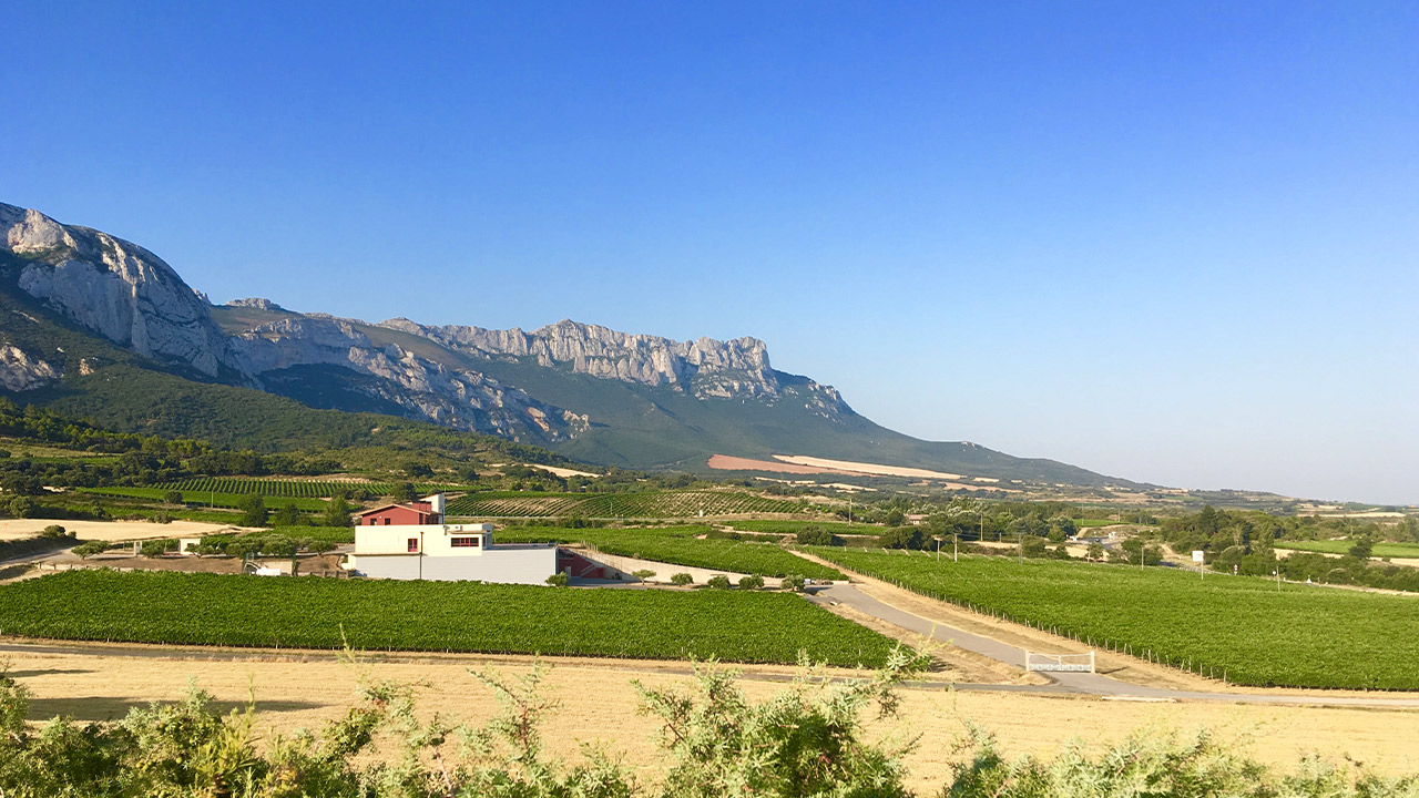 Bodegas Launa — cellar and vineyard (image 3 of 3)