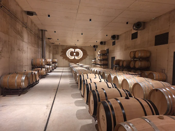 Chozas Carrascal — cellar and vineyard (image 2 of 3)