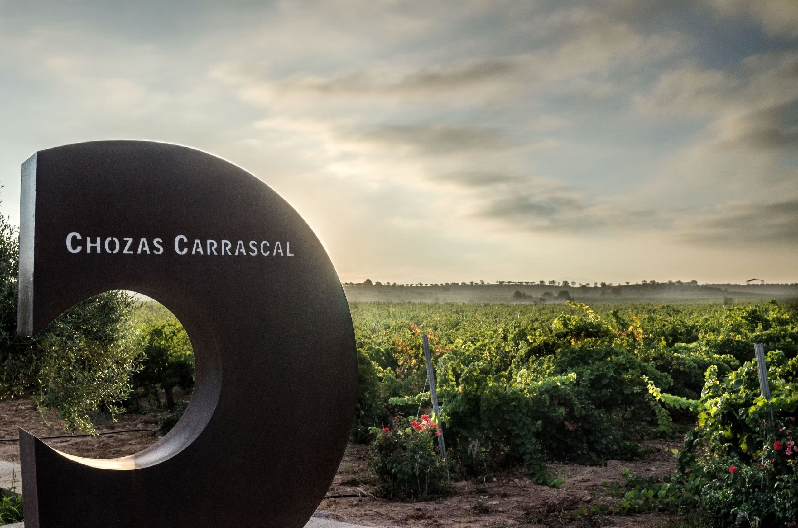 Chozas Carrascal — cellar and vineyard (image 3 of 3)