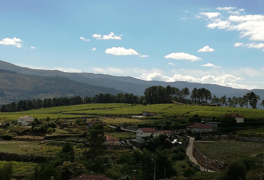Notas Frutales — cellar and vineyard (image 4 of 5)