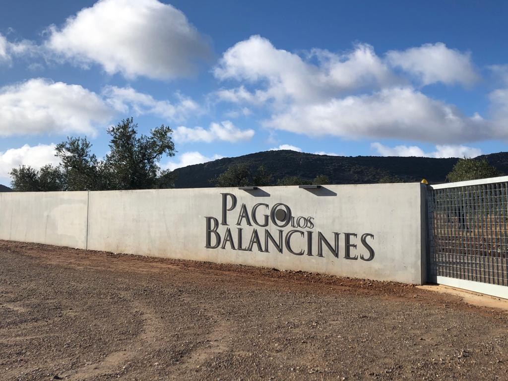 Pagos Balancines — cellar and vineyard (image 2 of 3)