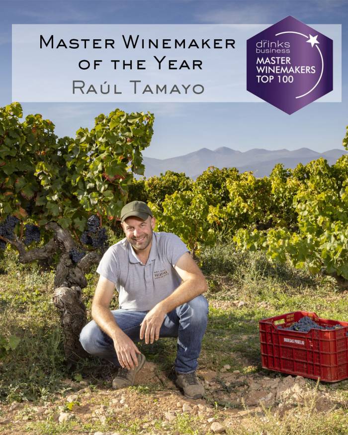 Raúl Tamayo — cellar and vineyard (image 1 of 3)