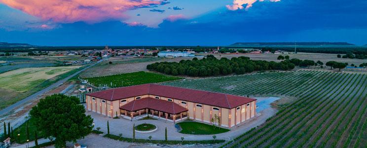 Viñas Murillo — cellar and vineyard (image 3 of 3)