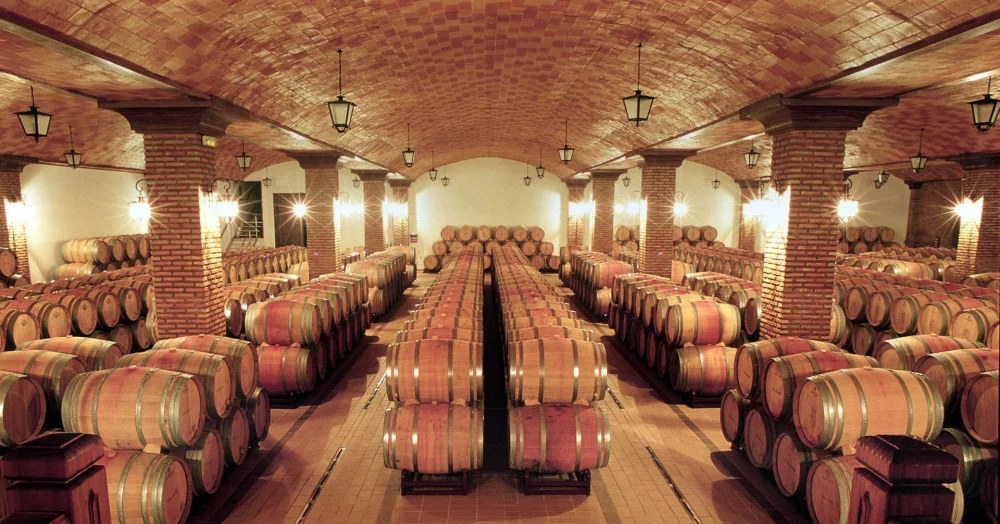 Vinos de Arganza — cellar and vineyard (image 1 of 3)