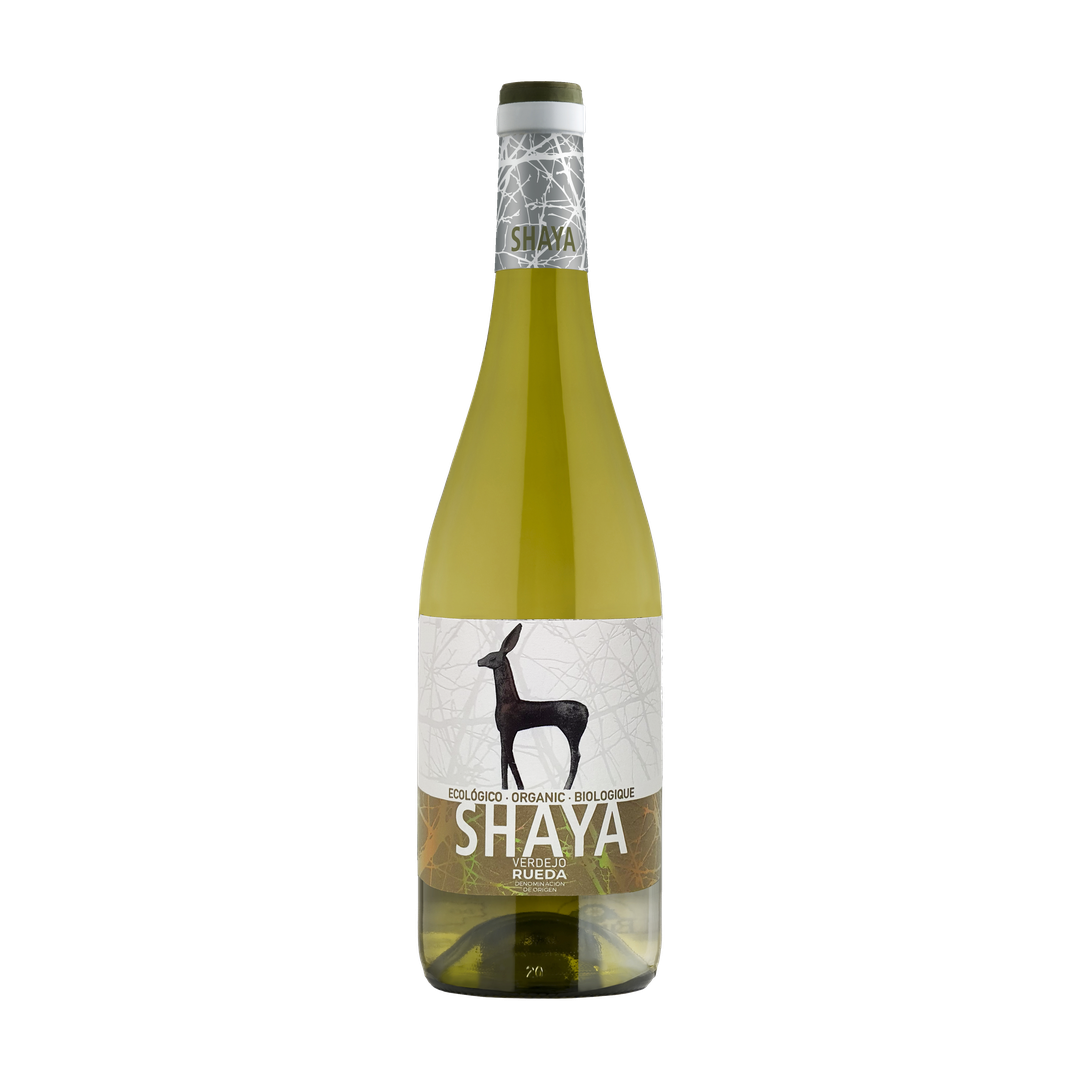 Shaya Verdejo