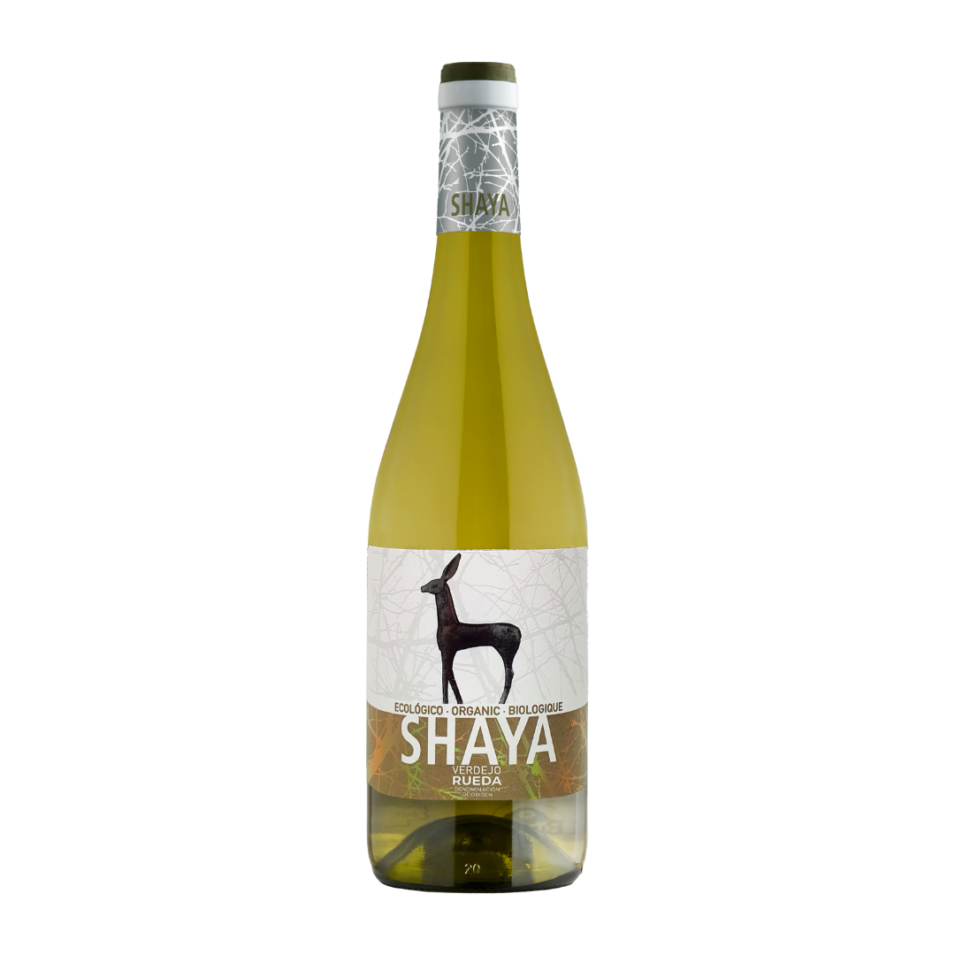 SHAYA VERDEJO